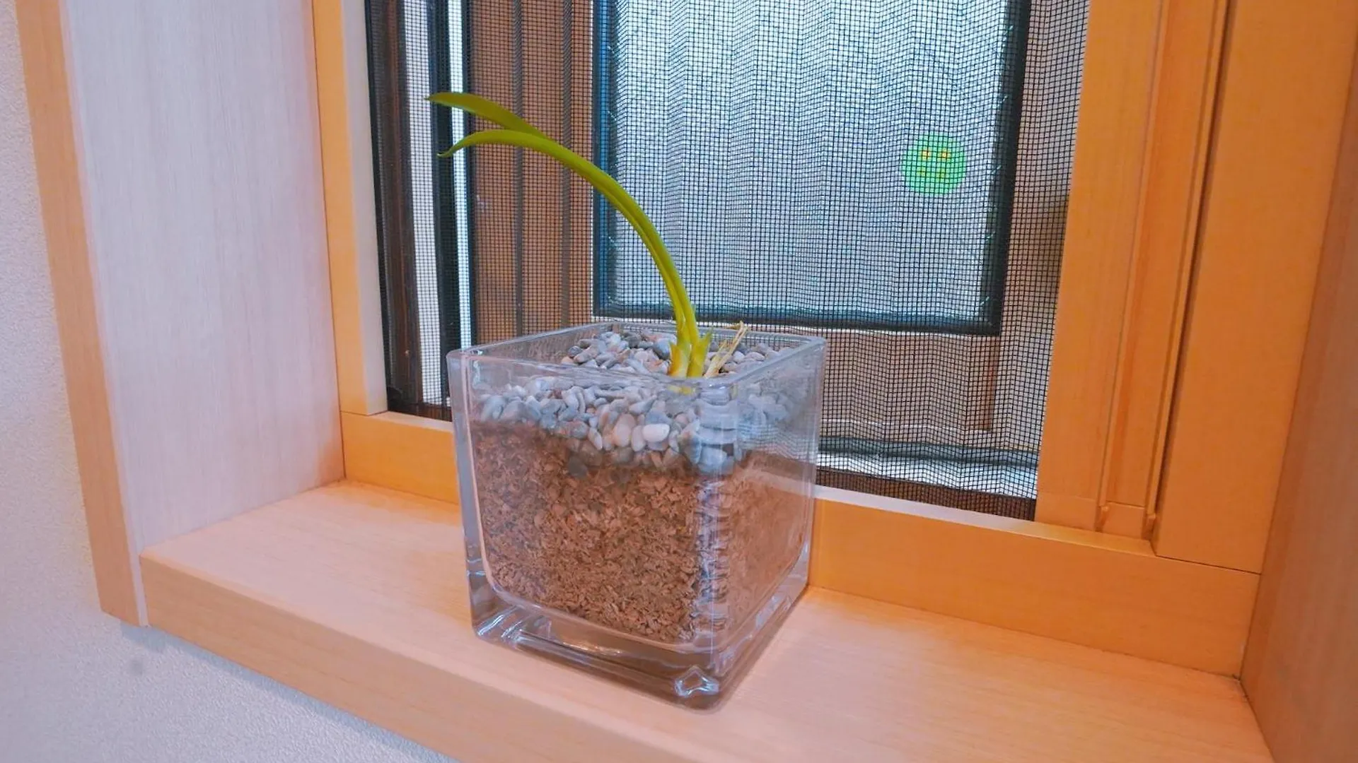 Apartment 東賀旅館 Tokyo